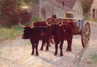 Ox Team