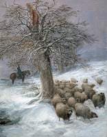 Sheep in the Snow