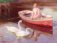 Swans, Central Park