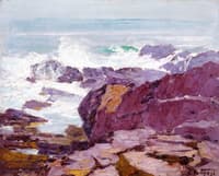 A Rugged Coast