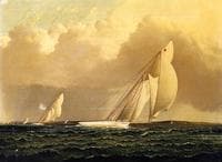 Yacht Race in New York Harbor