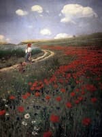 Poppies in Field