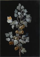 A Gooseberry Branch with Dragonfly, Butterfly and Caterpillar