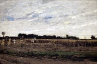 Corn Field