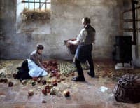 Apple Harvest
