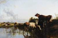 A Summer's Eve