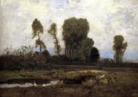 Edge of Forest