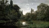 Marshy Landscape