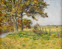 Summer Landscape