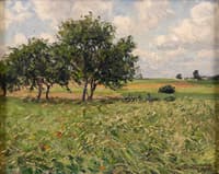 Summer Landscape