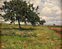Summer Landscape