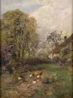 Spring in the countryside