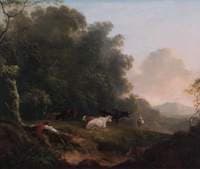 Cattle