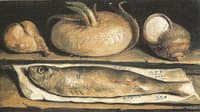 Still life with fish