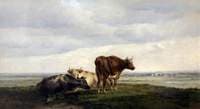 Three Cows