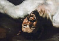 Willem de Rijck
