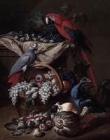 Still life