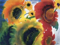Red and Yellow Sunflowers