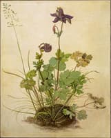 Columbine