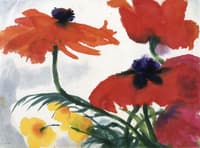 Red and Yellow Poppies