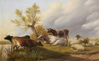 Cattle Piece