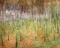 Birch Mood