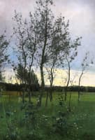 Group of Alder Trees