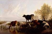 Milking Time in the Meadows