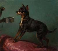 Dog with Parrot