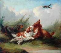 Three Spaniels and a Flying Mallard