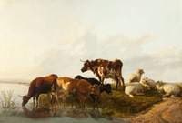 A Summer Afternoon