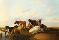 Evening in the Meadows