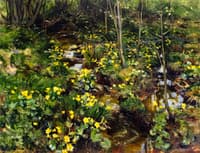 Marigolds
