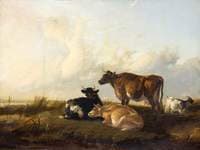 Cattle in Landscape