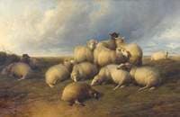 Gathering Clouds