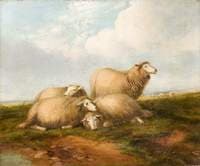 Landscape with Sheep
