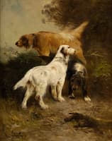Hunting Dogs