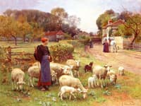 Tending the Flock