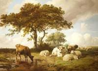 Repose in the Meadows