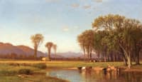 Summer Afternoon in the Meadows