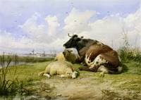 A Cow and Two Sheep