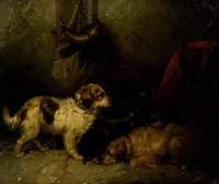 Dogs