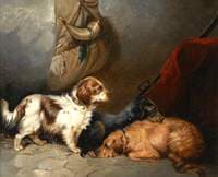 Spaniels in a Barn Interior