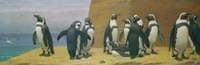 Dominicans in Feathers
