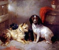 Terriers and Hound
