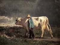 Cowboy