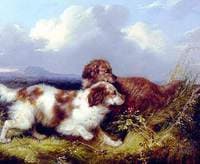 Spaniels Flushing Game