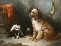 A Terrier and a King Charles Spaniel