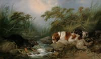 Three Dogs by a Brook