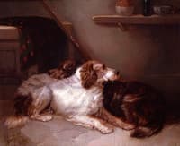 Two Setters